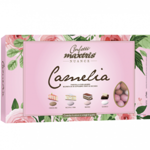 MAXTRIS - CONFETTI NUANCE CAMELIA gr.1000